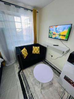 Kendi's penthouse in utawala - 1