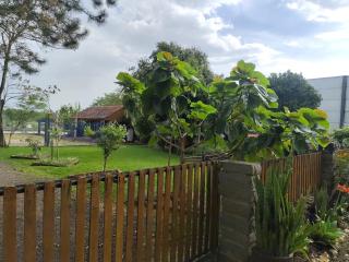 Modulo do Plátanos - 9