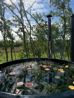 Agropensiunea TreiFrati - 8