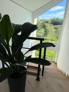 Agropensiunea TreiFrati - 6