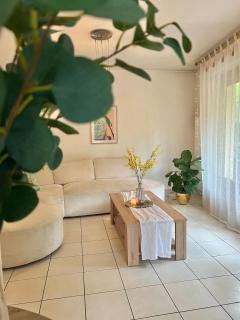 The Calm of the Center - Metz - 0