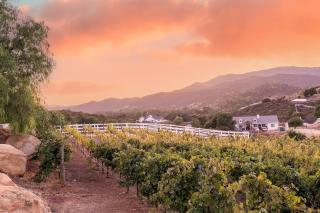 Villa on 5 Acre Vineyard Equestrian Estate, Pool & Hot tub, Events - 8