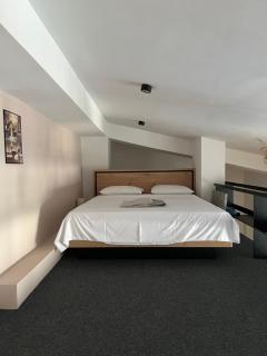 Modern Duplex Loft in Skopje City Center with 3 Bedrooms - 4