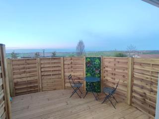 Grand studio, avec terrasse - 1