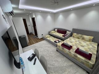 Luxury Private Room near airport - 9