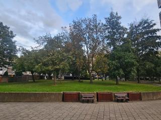 Newly Refurbed Battersea Apt by Thames & Free Parking - 2