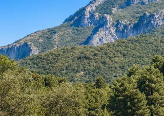 City Center 5 - Ruby Nest Apartments Tirana - 1