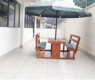 Emerald Rainforest - 0