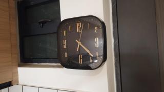 Emerald Rainforest - 5