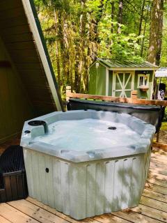 Olympic A-Frame - Close to Olympic NP, lake access - 9