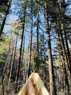 Olympic A-Frame - Close to Olympic NP, lake access - 2