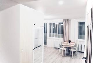 M&M Apartment I near Panevezys - 7