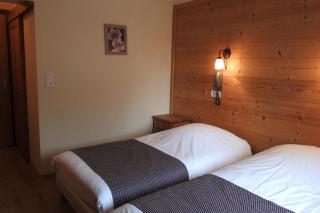 Hôtel Belalp - Châtel - 7