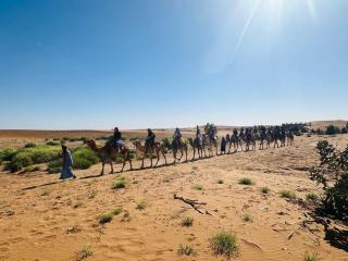 Camp Erg Chegaga Desert Morocco - 8