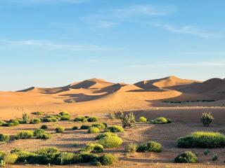 Camp Erg Chegaga Desert Morocco - 9