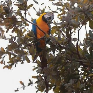 Casa na Chácara - 3