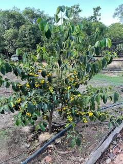 Casa na Chácara - 2