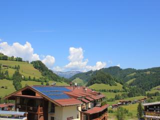 Alpine apartment on the ski-slope, cleaning included - 7