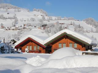 Scenic Stay in Feriendorf Wildschönau Chalet, cleaning included - 0