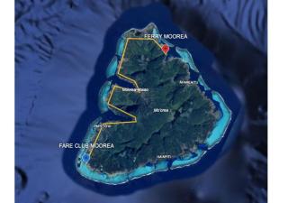 Moorea B&B - 7
