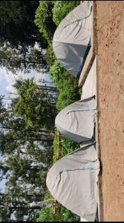 Pickurstay vbss camping hub - 1