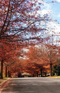 The Studio on Ashtree - 2