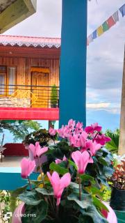 Chyajalo homestay - 7