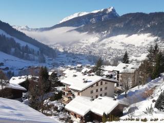 Appartement rénové avec Wifi pour 3 personnes au Grand-Bornand - FR-1-467-149 - 3