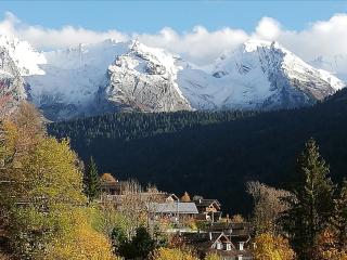Appartement rénové avec Wifi pour 3 personnes au Grand-Bornand - FR-1-467-149 - 2