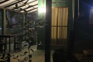 rainforest river song - 0