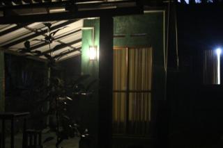 rainforest river song - 3