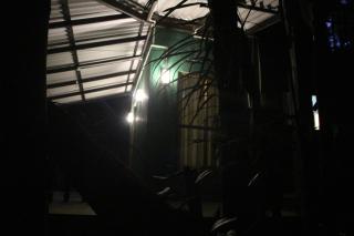 rainforest river song - 2