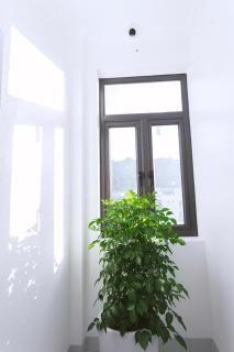 An Khang Hotel - 2