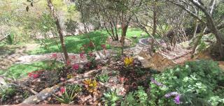 Casa unica agradable de campo con boveda - 6