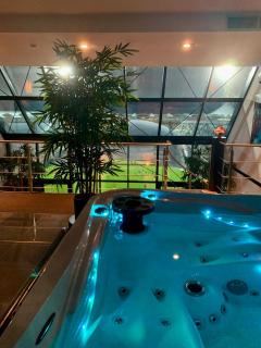 Wellness Dome Penthouse Suite - 9