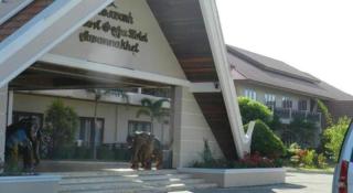 Daosavanh Resort & Spa Hotel - 6