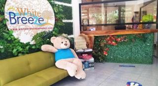 White Breeze Palawan Boutique Hotel - 3