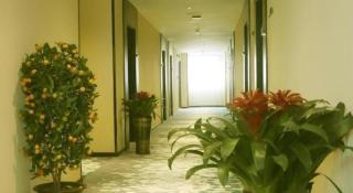 GreenTree Inn Yichun Mingyueshan Airport - 2