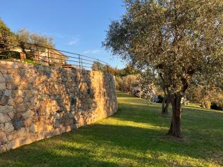 A CASA DI OLIVO - 6