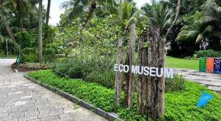 Yussy Homestay at Cerulean Bay Forest City - 9