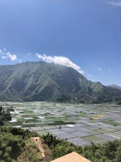 Haris Homestay & Cottages - 8