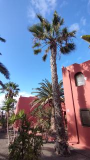 CASA BLU - Oasis Tamarindo 1 - Corralejo - 8