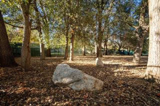 Magic Sequoia Spacious Home - 7