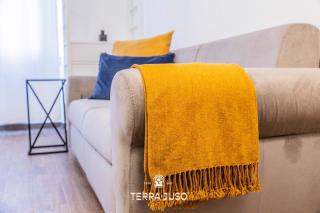 Work & Stay Apartment - 4
