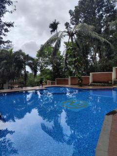 Edakkal Village Resort - A Premium Boutique Lodging, Wayanad - 6