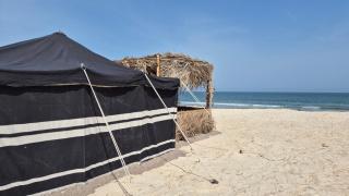 Ocean Camp - 7