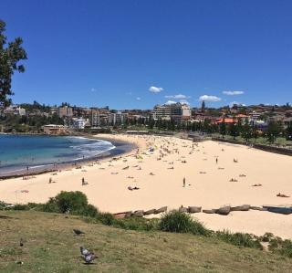 Dolphin Sands - flat barefoot walk to Coogee Beach - 1