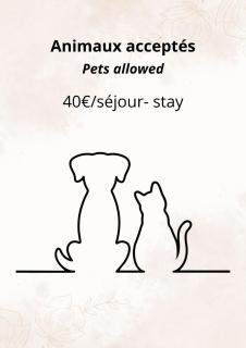 Prox Stade France appart 2P Chaleureux - 1