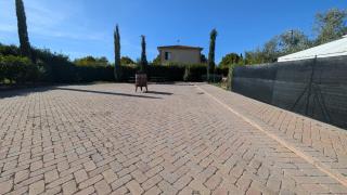 Le Crete Senesi - 6