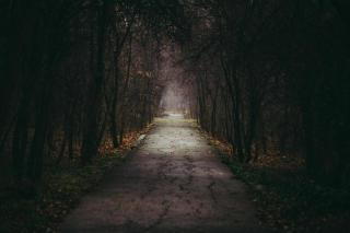 Guest House Mentana - 1